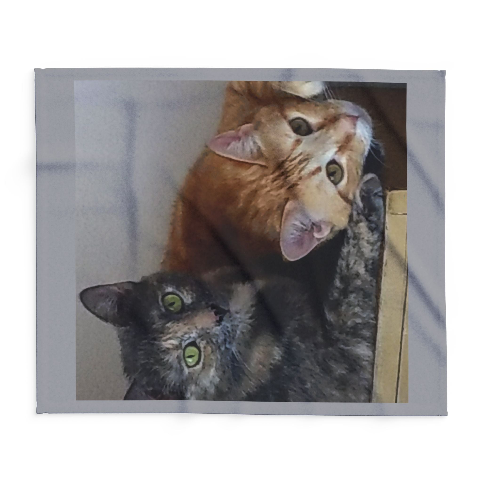 Arctic Fleece Blanket — Cozy Cat Photo Throw (Tortoiseshell & Tabby)